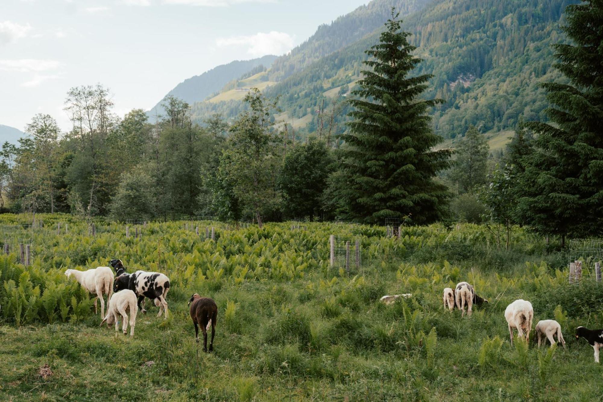 Ferienwohnungen Badbruckerweg- Bad Gastein Exteriér fotografie